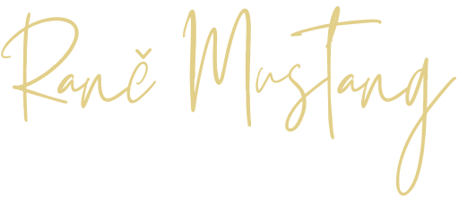 Logo klijenta koji je radio web stranicu kod OmniLynx Digital